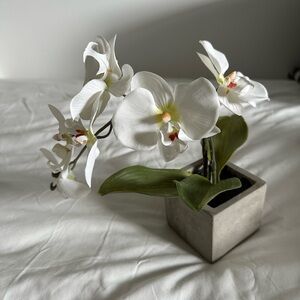 Faux Orchid